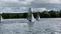 Graduate Southern Championship at Chipstead © Bob Murrell