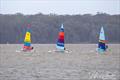 NSW Hobie Cat State Championships 2024 © Alannah Simpson