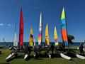 WA Hobie 14 on the lawn at GBYC © Hobie Cat Association of WA