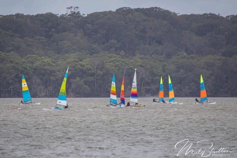 NSW Hobie Cat State Championships 2024 photo copyright Alannah Simpson taken at Toukley Sailing Club and featuring the Hobie 14 class