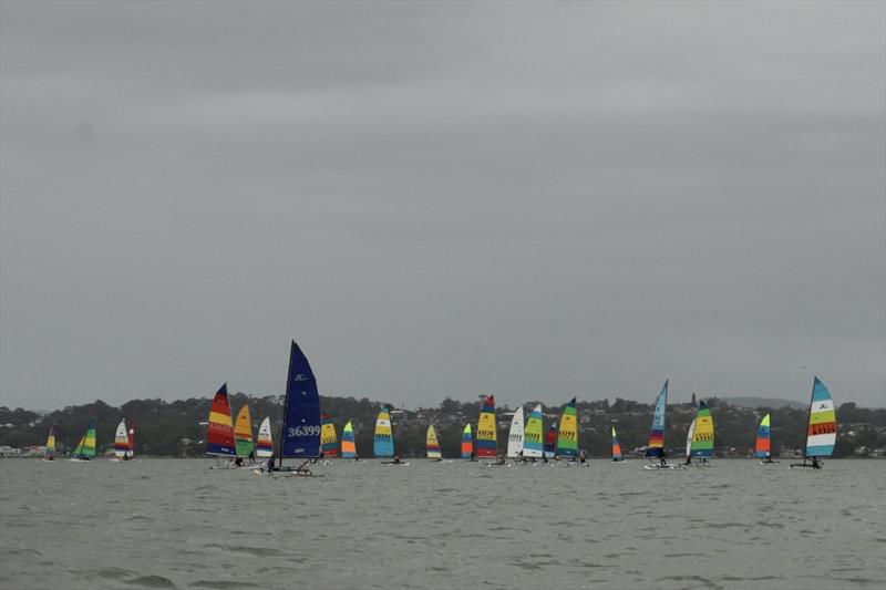 NSW Hobie Cat State Championships 2024 photo copyright Alannah Simpson taken at Toukley Sailing Club and featuring the Hobie 14 class