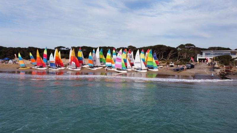 Victorian Hobie Cat State Championships 2024 - photo © Abi Morgan