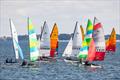 2025 Hobie 16 Open North American Championships © Tim Ludvigsen