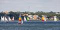 2025 Hobie 16 Open North American Championships © Tim Ludvigsen