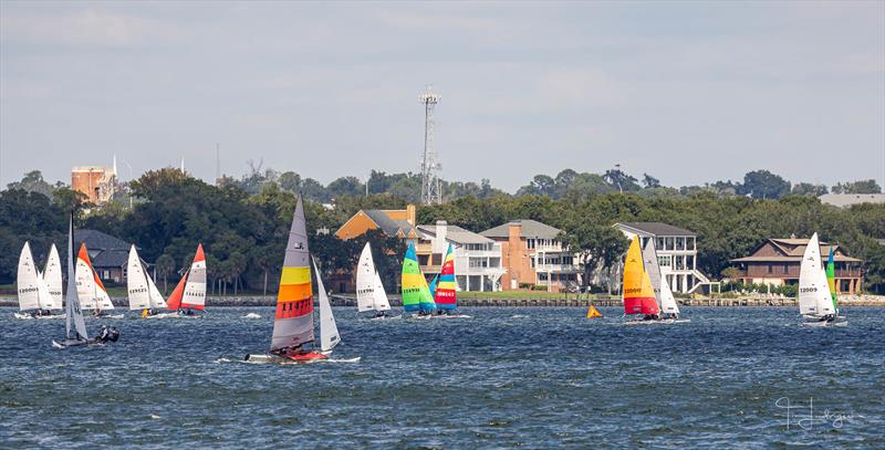2025 Hobie 16 Open North American Championships photo copyright Tim Ludvigsen taken at Pensacola Yacht Club and featuring the Hobie 16 class