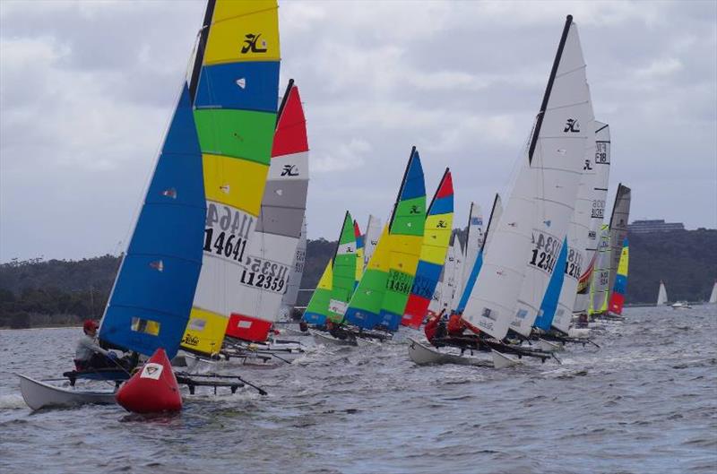 Cat Classic Regatta - start line - photo © Hobie Class Association of WA