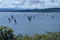 707 National Championship at Port Edgar © 707 Class Association