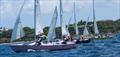 6th Annual USVI Hotel & Tourism Association Regatta - Teams line up for a close finish! L to R: Team Frenchman's Cove, Team Pink Palm Hotel, Team USVI Department of Tourism, and Team Coral World © STSC / C Bareuther