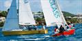 6th Annual USVI Hotel & Tourism Association Regatta - Team Frenchman's Cove (right, red hull) races hot on the heels of Team USVI Department of Tourism (left, yellow hull) © STSC / C Bareuther