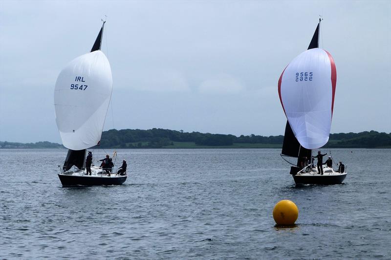 Impala European Championship at Strangford Lough photo copyright EDYC taken at East Down Yacht Club and featuring the Impala 28 class