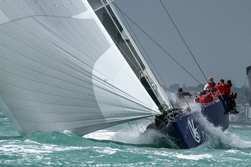 TP52 V5 - Coastal Classic 2019 - October 2019 - Waitemata Harbour, Auckland - photo © Richard Gladwell / Sail-World.com