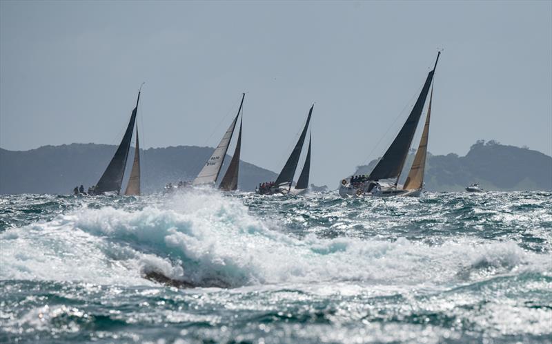 Bay of Islands Sailing Week - January 2023 - photo © Lissa Reyden