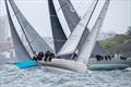 Caro, No Limit & Antipodes (front to back) tacking out to the Heads - Bird Island Race  © Ashey Dart