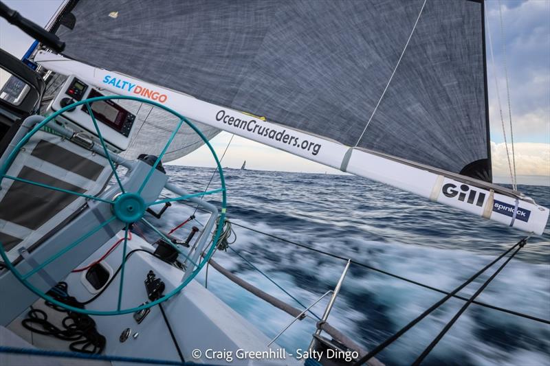 Ocean Crusaders J-Bird 2023 Sydney to Hobart Race - photo © Craig Greenhill / www.saltydingo.com.au