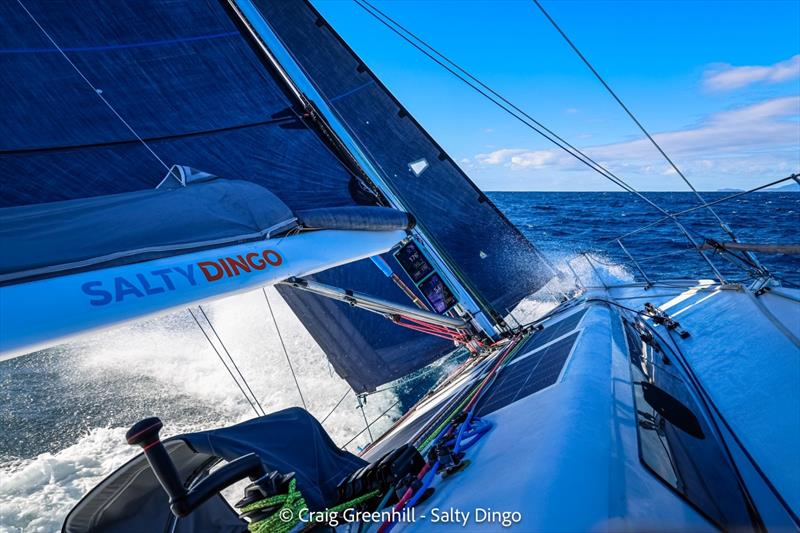 Ocean Crusaders J-Bird 2023 Sydney to Hobart Race - photo © Craig Greenhill / www.saltydingo.com.au