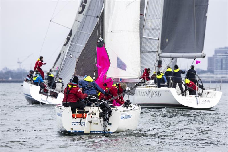 Salamander III in company with Jacobina and No Mans Land - Australian Women's Keelboat Regatta 2024 - photo © Andrea Francolini