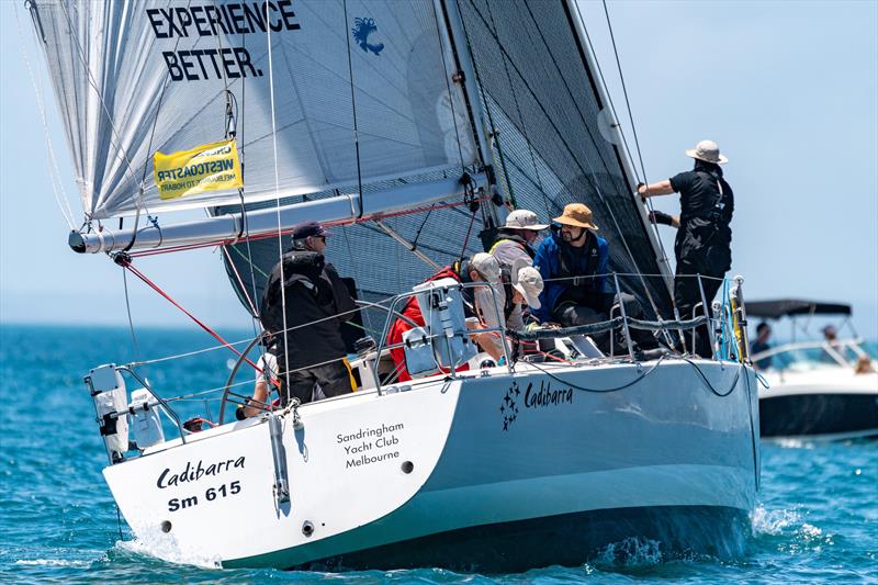 The experienced Cadibarra crew will be hard to beat - Melbourne to Hobart Yacht Race - photo © Michael Currie