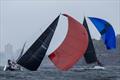 Excitement abounds at the regatta - Pittwater to Coffs Harbour Yacht Race © Andrea Francolini / MHYC