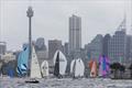 Performance Class divisions provide colour and competitive racing - Sydney Harbour Regatta © Andrea Francolini, MHYC