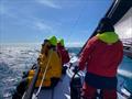 On board AdvantEdge during the Three Hummock Island Yacht Race © AdvantEdge
