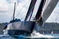 Wild Thing 100 leaving Sydney Harbour - PONANT Sydney Noumea Yacht Race © CYCA | Ashley Dart
