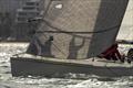 Salvage Drinks Co Jungle Juice - 2025 Australian Women's Keelboat Regatta  © Andrea Francolini
