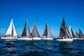 The fleet of 36 boats battling it across the start line - DYSC Marine Supplies Winter Series Wrap Up © Michael Currie