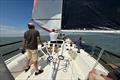 On board 'Assassin' - Summer Series at Royal Temple YC race 3 © Alex Jackson
