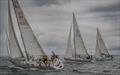 Taittinger Royal Solent Yacht Club Regatta 2025 © Tim Jeffreys Photography