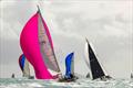 A bit of colour on a slightly overcast day - 74 Islands Distillery Airlie Beach Race Week © Andrea Francolini / ABRW