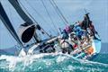 Antipodes has had a bumper season © Andrea Francolini / ABRW