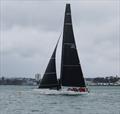 Lucky (USA) - Finish Sydney Auckland Race - October 14, 2025 © Roger Mills - Hummingbird Media