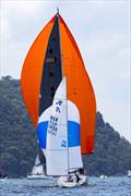 The regatta is for boats of all sizes - Pantaenius Pittwater Regatta © Andrea Francolini / RPAYC