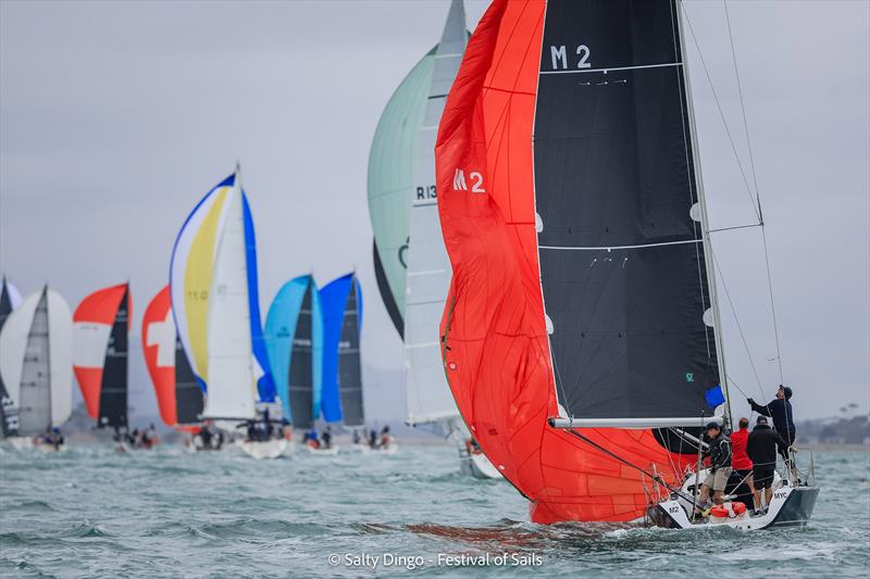 Festival of Sails 2025 - photo © Salty Dingo