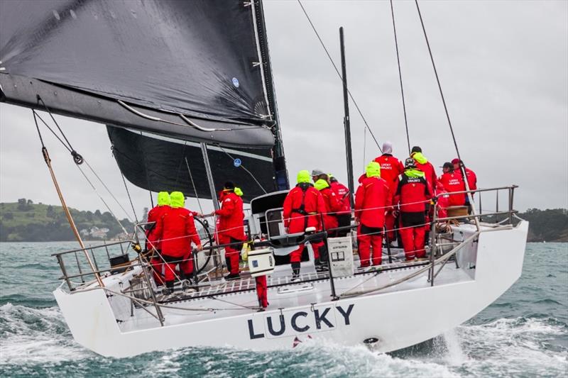 Lucky approaches the finish line in Auckland - Finish Sydney Auckland Race - October 14, 2025 photo copyright Tamsin Rountree taken at Royal Akarana Yacht Club and featuring the IRC class