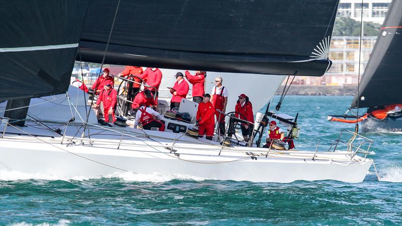 Lucky - Coastal Classic - October 24, 2025 - photo © Richard Gladwell - Sail-World.com/nz