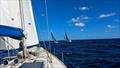 Inter-island racing in the 2026 Three Sheets Regatta. `The whole team is excited to become a part of STIR 2027. It's a natural fit,` says Julie San Martin, regatta organizer &copy; Three Sheets Regatta