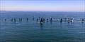 Handicapping for the best sailed, best prepared boats &copy; Transpacific Yacht Club