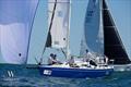 J/105 North American Championship 2025 © Tim Wilkes Photography