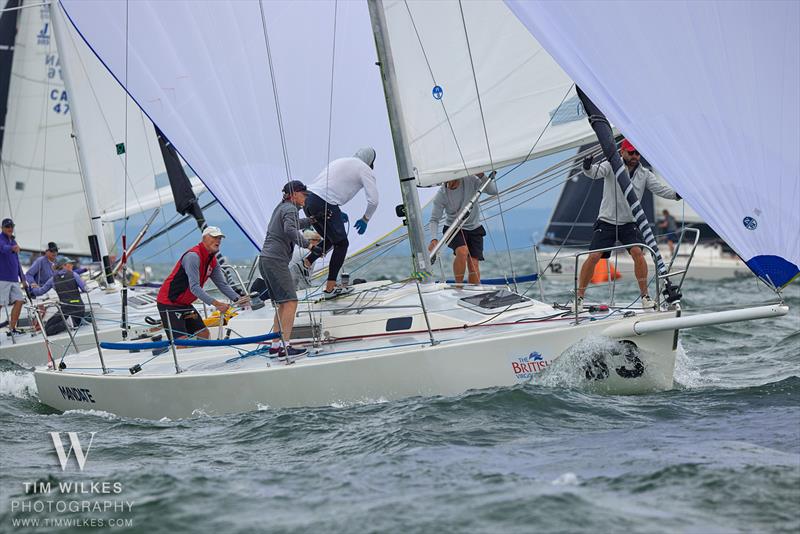 2024 J105 North American Championship - photo © Tim Wilkes Photography