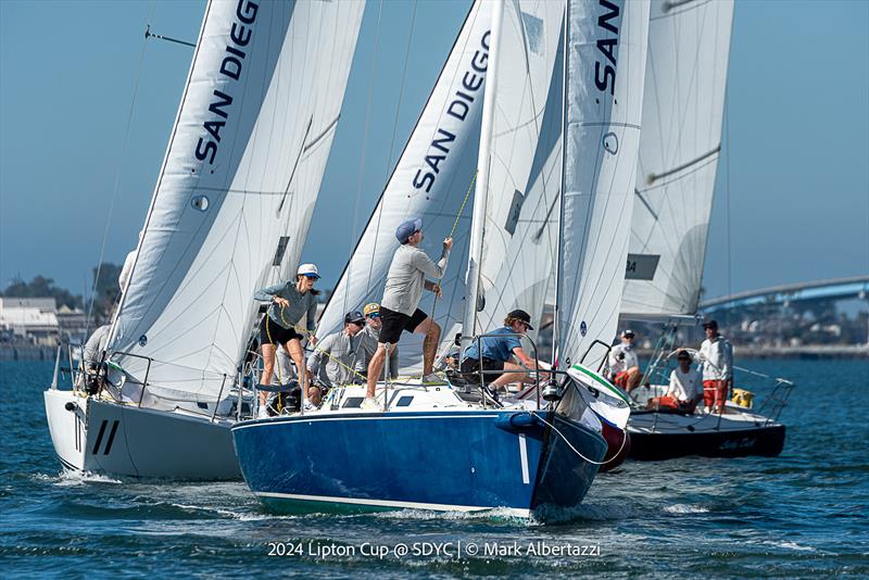 2024 Lipton Cup - photo © Mark Albertazzi