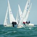 Lipton Challenge Cup 2025 © Royal Cape Yacht Club