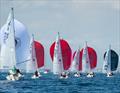 Lipton Challenge Cup 2025 © Royal Cape Yacht Club