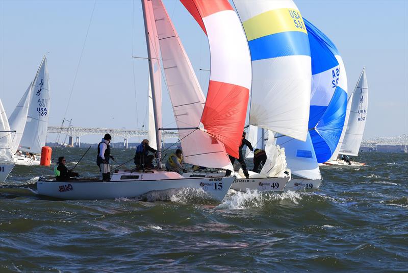 2024 J/22 World Championship photo copyright Will Keyworth taken at Eastport Yacht Club and featuring the J/22 class