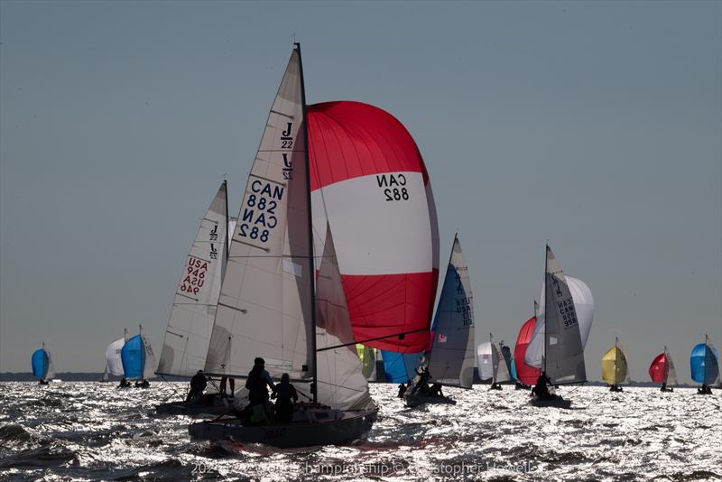 2024 J/22 World Championship photo copyright Christopher Howell taken at Eastport Yacht Club and featuring the J/22 class