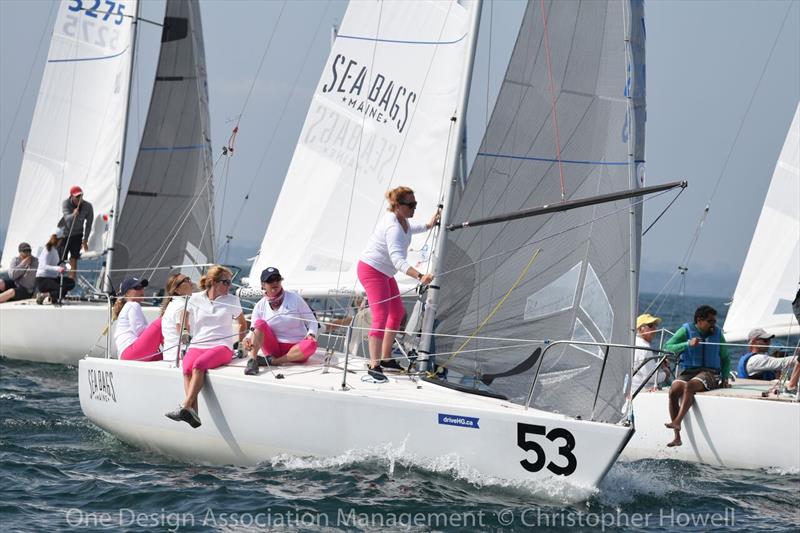 driveHG.ca J/24 Worlds at Ontario, Canada day 2 photo copyright Christopher Howell taken at Port Credit Yacht Club and featuring the J/24 class