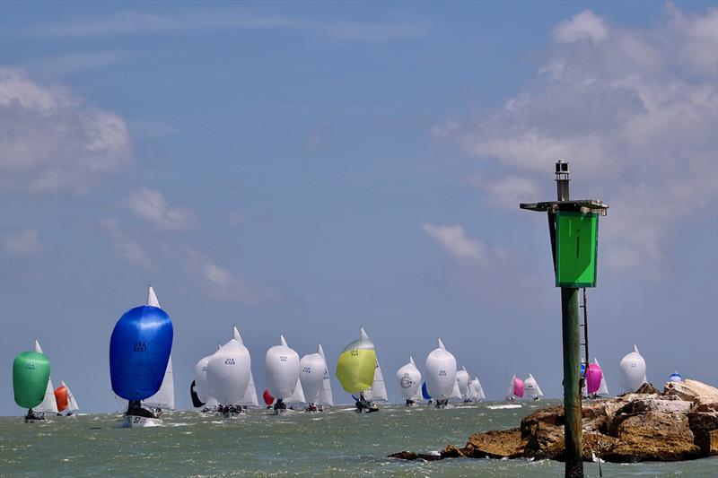 2022 J24 World Championship - Final Day photo copyright Emily Stokes taken at Corpus Christi Yacht Club and featuring the J/24 class