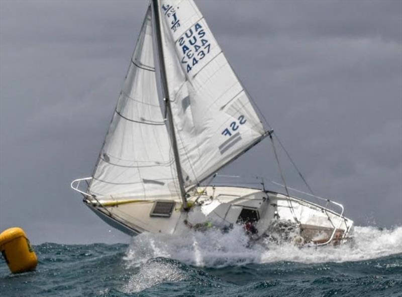 Australian J/24 Nationals - photo © Marg's Yacht Photos