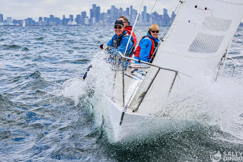 2024 Festival of Sails Passage Race - photo © Salty Dingo