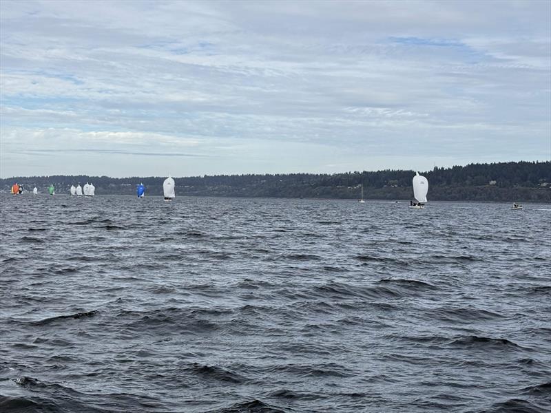 Travis Odenbach and his Honeybadger decisively won the final race of 2024 Beecher's Handmade Cheese J/24 World Championship - photo © David Schmidt